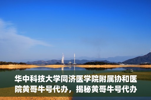 华中科技大学同济医学院附属协和医院黄哥牛号代办，揭秘黄哥牛号代办背后的故事，华中科技大学同济医学院附属协和医院就医新途径探索