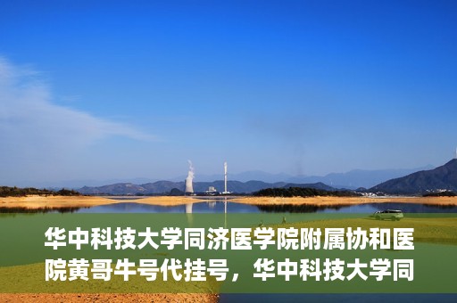 华中科技大学同济医学院附属协和医院黄哥牛号代挂号，华中科技大学同济医学院附属协和医院黄哥牛号代挂号服务详解