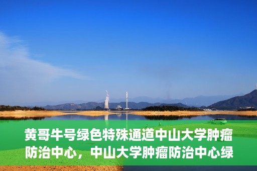 黄哥牛号绿色特殊通道中山大学肿瘤防治中心，中山大学肿瘤防治中心绿色特殊通道，黄哥牛号引领健康新航向