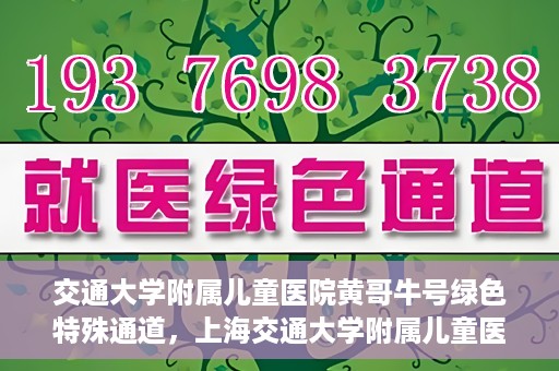交通大学附属儿童医院黄哥牛号绿色特殊通道，上海交通大学附属儿童医院黄哥牛号绿色特殊通道揭秘