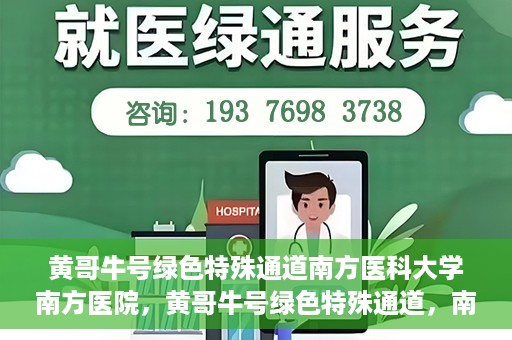 黄哥牛号绿色特殊通道南方医科大学南方医院，黄哥牛号绿色特殊通道，南方医科大学南方医院的探索与实践