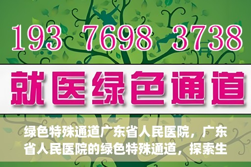 绿色特殊通道广东省人民医院，广东省人民医院的绿色特殊通道，探索生命的新路径