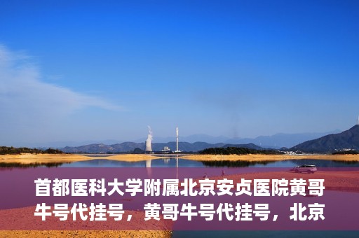 首都医科大学附属北京安贞医院黄哥牛号代挂号，黄哥牛号代挂号，北京安贞医院挂号新途径探索
