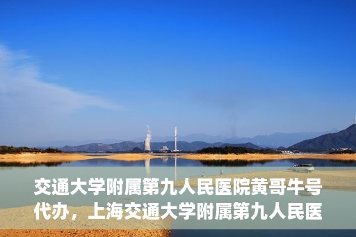 交通大学附属第九人民医院黄哥牛号代办，上海交通大学附属第九人民医院黄哥牛号代办服务解析