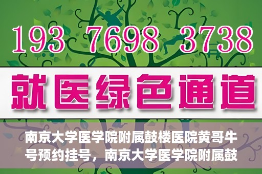 南京大学医学院附属鼓楼医院黄哥牛号预约挂号，南京大学医学院附属鼓楼医院黄哥牛号预约挂号攻略解析