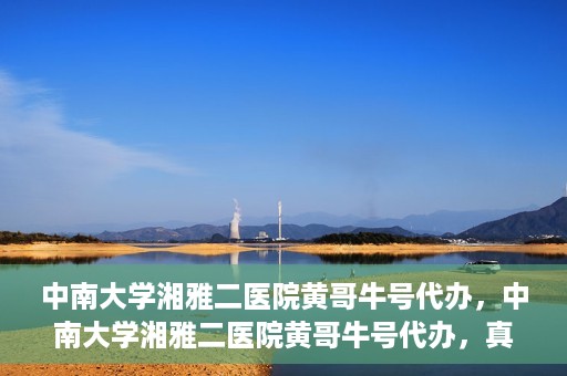 中南大学湘雅二医院黄哥牛号代办，中南大学湘雅二医院黄哥牛号代办，真相揭秘与深度解读