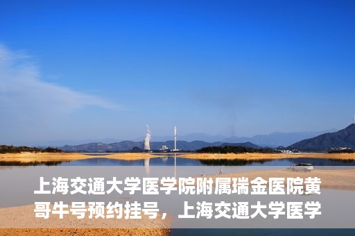 上海交通大学医学院附属瑞金医院黄哥牛号预约挂号，上海交通大学医学院附属瑞金医院黄哥牛号预约挂号攻略详解