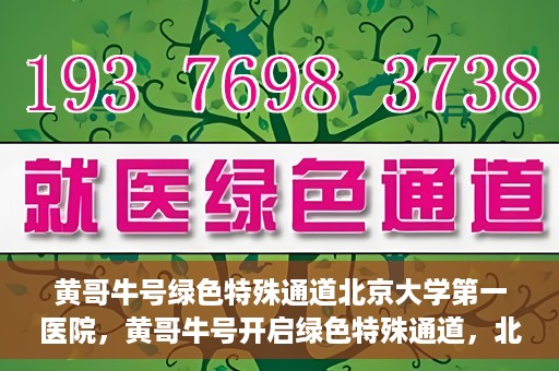 黄哥牛号绿色特殊通道北京大学第一医院，黄哥牛号开启绿色特殊通道，北京大学第一医院全力护航健康之路