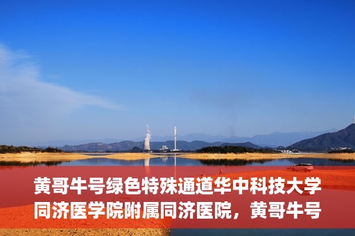 黄哥牛号绿色特殊通道华中科技大学同济医学院附属同济医院，黄哥牛号绿色特殊通道，华中科技大学同济医学院附属同济医院的探索与实践