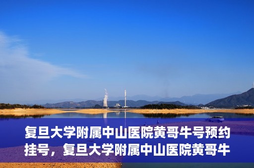 复旦大学附属中山医院黄哥牛号预约挂号，复旦大学附属中山医院黄哥牛号预约挂号攻略解析