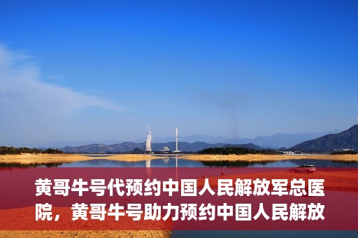 黄哥牛号代预约中国人民解放军总医院，黄哥牛号助力预约中国人民解放军总医院，一站式健康服务新体验