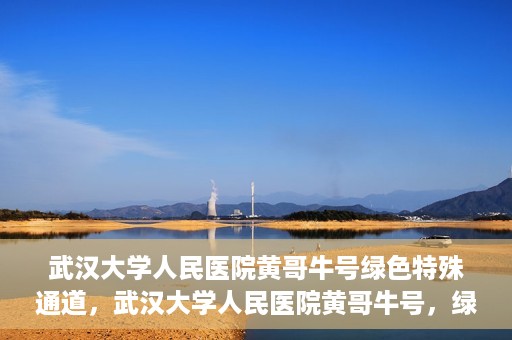 武汉大学人民医院黄哥牛号绿色特殊通道，武汉大学人民医院黄哥牛号，绿色特殊通道开启