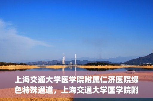 上海交通大学医学院附属仁济医院绿色特殊通道，上海交通大学医学院附属仁济医院绿色特殊通道，高效医疗服务的创新实践