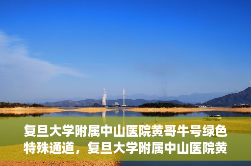 复旦大学附属中山医院黄哥牛号绿色特殊通道，复旦大学附属中山医院黄哥牛号，绿色特殊通道开启健康之门