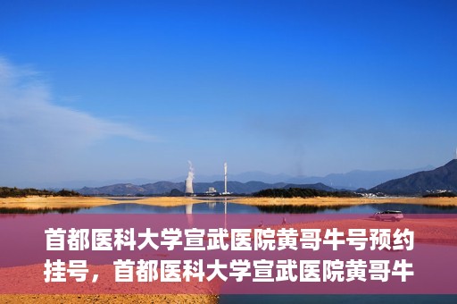 首都医科大学宣武医院黄哥牛号预约挂号，首都医科大学宣武医院黄哥牛号，预约挂号攻略