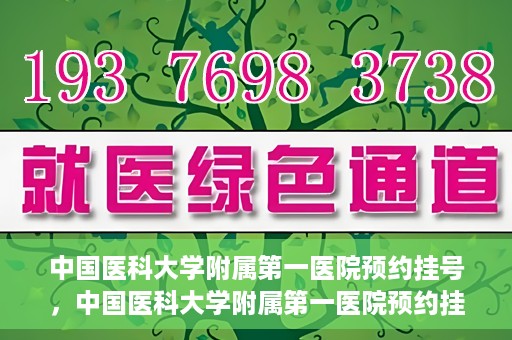 中国医科大学附属第一医院预约挂号，中国医科大学附属第一医院预约挂号指南，一站式解决您的就医难题