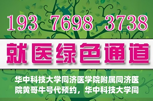 华中科技大学同济医学院附属同济医院黄哥牛号代预约，华中科技大学同济医院黄哥牛号预约服务解析