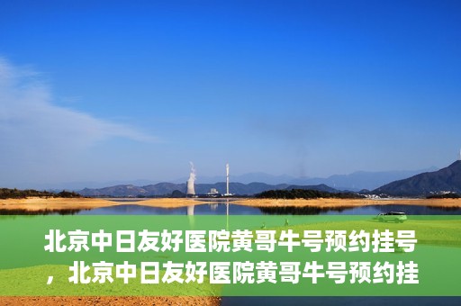 北京中日友好医院黄哥牛号预约挂号，北京中日友好医院黄哥牛号预约挂号指南