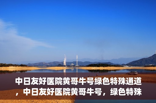 中日友好医院黄哥牛号绿色特殊通道，中日友好医院黄哥牛号，绿色特殊通道开启健康之门
