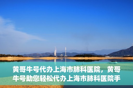 黄哥牛号代办上海市肺科医院，黄哥牛号助您轻松代办上海市肺科医院手续。