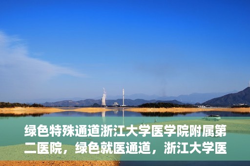 绿色特殊通道浙江大学医学院附属第二医院，绿色就医通道，浙江大学医学院附属第二医院的探索与实践