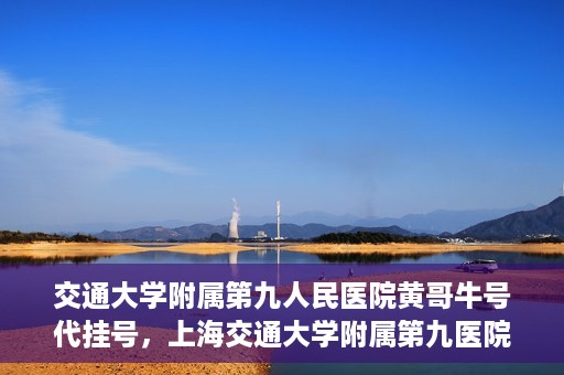 交通大学附属第九人民医院黄哥牛号代挂号，上海交通大学附属第九医院黄哥牛号代挂号攻略解析
