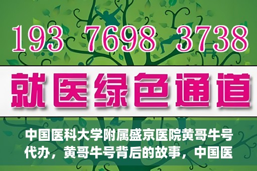 中国医科大学附属盛京医院黄哥牛号代办，黄哥牛号背后的故事，中国医科大学附属盛京医院的信赖之选