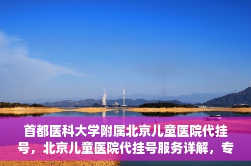 首都医科大学附属北京儿童医院代挂号，北京儿童医院代挂号服务详解，专业医疗与便捷服务的结合