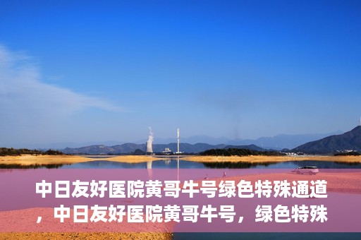 中日友好医院黄哥牛号绿色特殊通道，中日友好医院黄哥牛号，绿色特殊通道开启健康之门