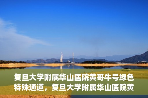 复旦大学附属华山医院黄哥牛号绿色特殊通道，复旦大学附属华山医院黄哥牛号，绿色特殊通道开启健康之门