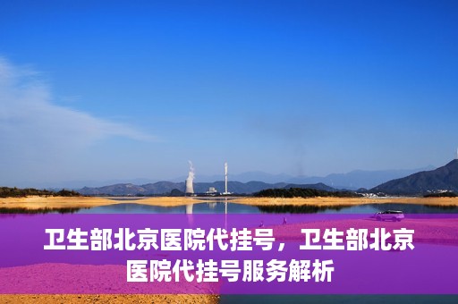 卫生部北京医院代挂号，卫生部北京医院代挂号服务解析