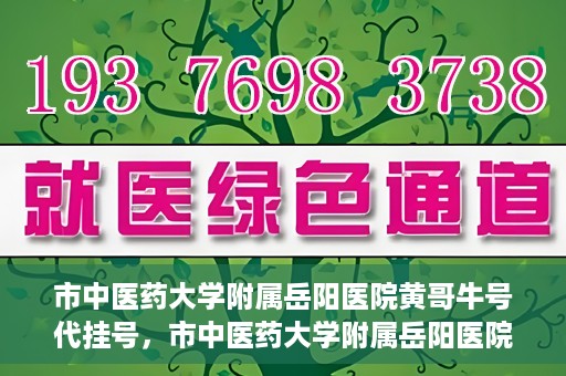 市中医药大学附属岳阳医院黄哥牛号代挂号，市中医药大学附属岳阳医院黄哥牛号代挂号服务解析