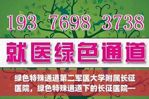 绿色特殊通道第二军医大学附属长征医院，绿色特殊通道下的长征医院——第二军医大学附属长征医院探索与实践