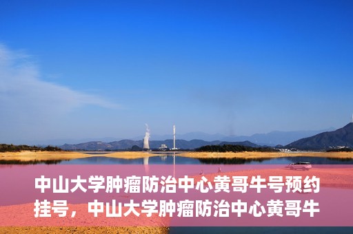 中山大学肿瘤防治中心黄哥牛号预约挂号，中山大学肿瘤防治中心黄哥牛号预约挂号攻略解析