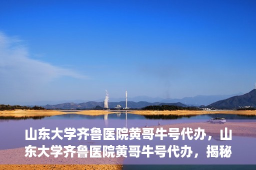 山东大学齐鲁医院黄哥牛号代办，山东大学齐鲁医院黄哥牛号代办，揭秘背后的故事与真相