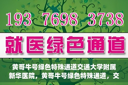 黄哥牛号绿色特殊通道交通大学附属新华医院，黄哥牛号绿色特殊通道，交通大学附属新华医院的探索与实践