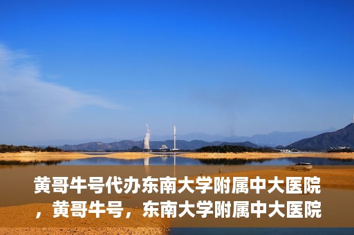 黄哥牛号代办东南大学附属中大医院，黄哥牛号，东南大学附属中大医院代办服务