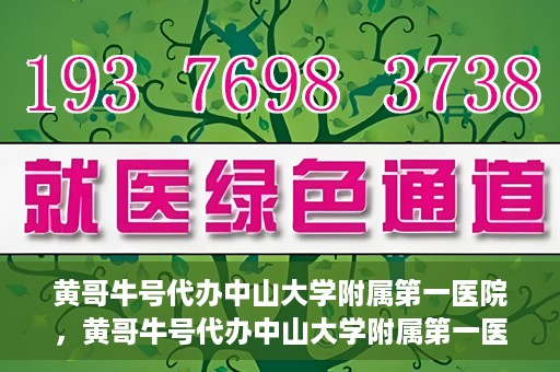 黄哥牛号代办中山大学附属第一医院，黄哥牛号代办中山大学附属第一医院业务手续全攻略