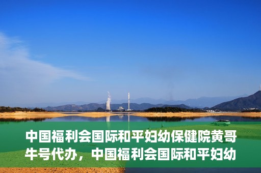 中国福利会国际和平妇幼保健院黄哥牛号代办，中国福利会国际和平妇幼保健院黄哥牛号业务代办全解析