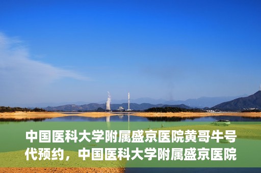 中国医科大学附属盛京医院黄哥牛号代预约，中国医科大学附属盛京医院黄哥牛号预约服务解析