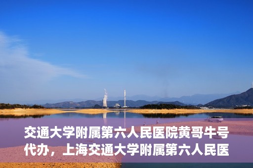 交通大学附属第六人民医院黄哥牛号代办，上海交通大学附属第六人民医院黄哥牛号代办服务解析