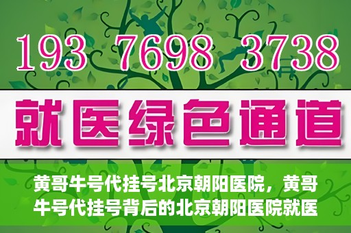 黄哥牛号代挂号北京朝阳医院，黄哥牛号代挂号背后的北京朝阳医院就医现象观察
