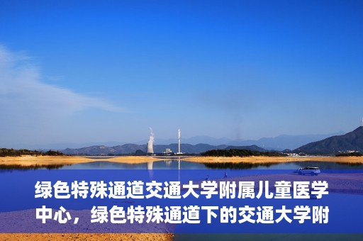 绿色特殊通道交通大学附属儿童医学中心，绿色特殊通道下的交通大学附属儿童医学中心探索