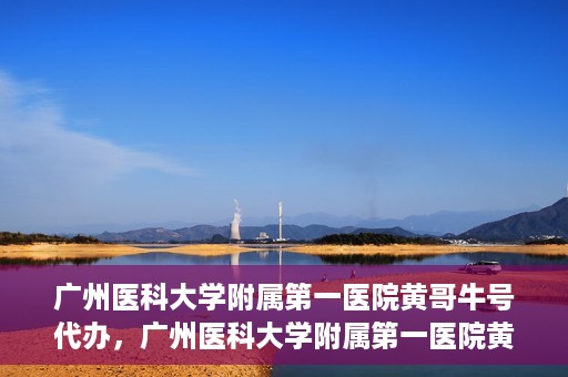 广州医科大学附属第一医院黄哥牛号代办，广州医科大学附属第一医院黄哥牛号挂号代办攻略