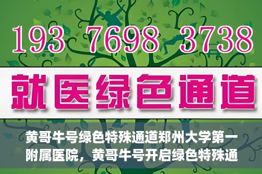 黄哥牛号绿色特殊通道郑州大学第一附属医院，黄哥牛号开启绿色特殊通道，助力郑州大学第一附属医院高效就医体验