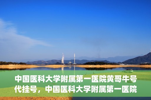 中国医科大学附属第一医院黄哥牛号代挂号，中国医科大学附属第一医院黄哥牛号代挂号服务详解