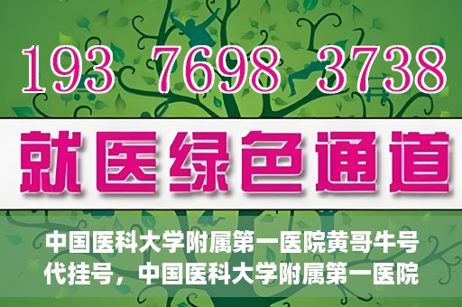 中国医科大学附属第一医院黄哥牛号代挂号，中国医科大学附属第一医院黄哥牛号代挂号服务详解