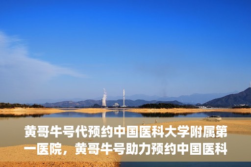黄哥牛号代预约中国医科大学附属第一医院，黄哥牛号助力预约中国医科大学附属第一医院专家号
