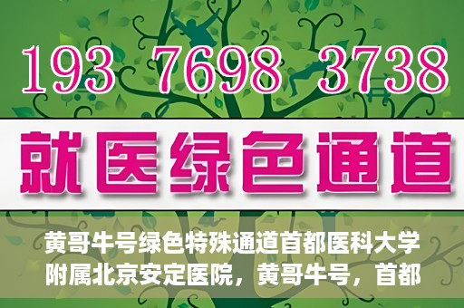 黄哥牛号绿色特殊通道首都医科大学附属北京安定医院，黄哥牛号，首都医科大学附属北京安定医院的绿色特殊通道揭秘