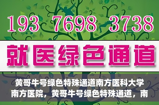 黄哥牛号绿色特殊通道南方医科大学南方医院，黄哥牛号绿色特殊通道，南方医科大学南方医院的探索与实践